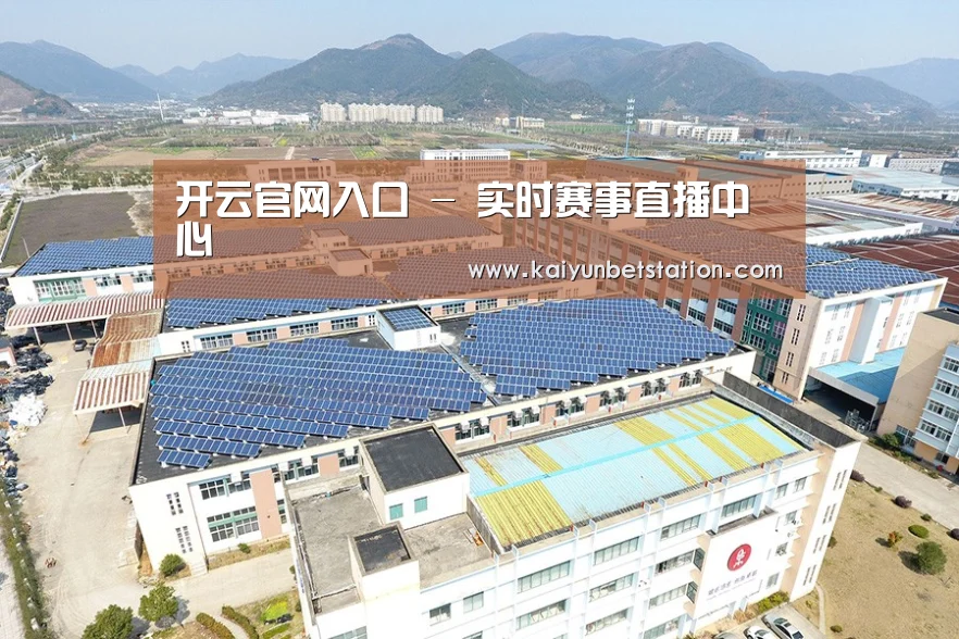 案例展示四