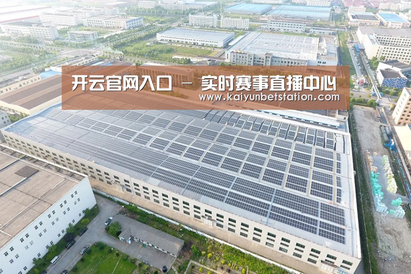 案例展示四