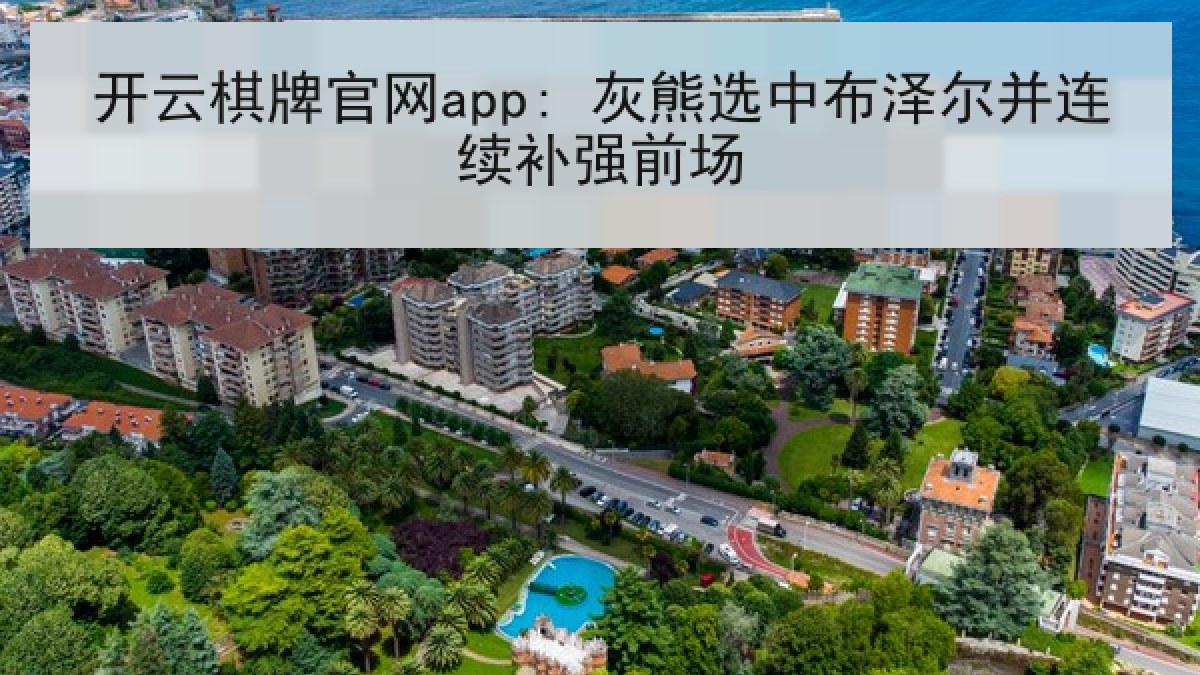 开云棋牌官网app: 灰熊选中布泽尔并连续补强前场