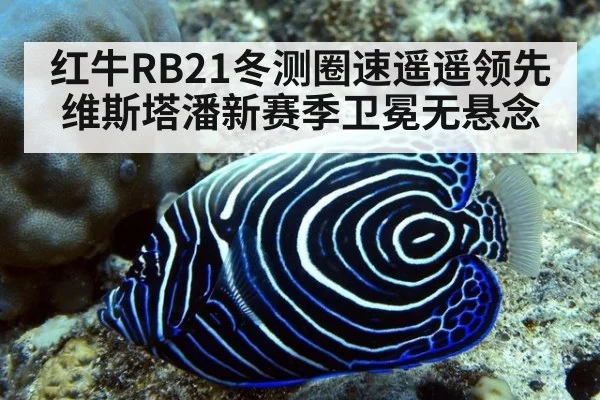 红牛RB21冬测圈速遥遥领先维斯塔潘新赛季卫冕无悬念